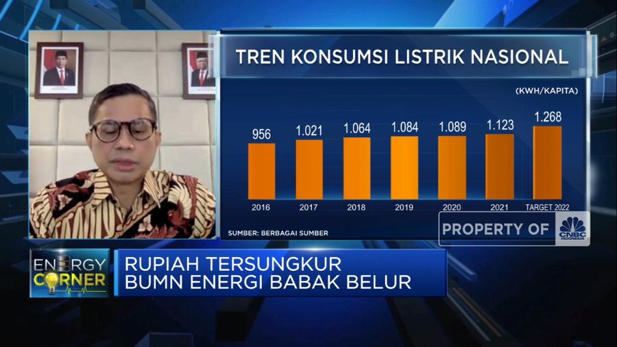 BUMN Siapkan Strategi Atasi Oversupply PLN, Apa Saja?  (CNBC Indonesia TV)