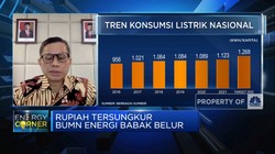 BUMN Siapkan Strategi Atasi Oversupply PLN, Apa Saja?