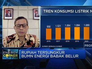 BUMN Siapkan Strategi Atasi Oversupply PLN, Apa Saja?