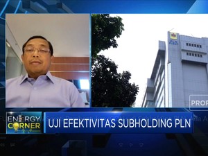 Komisi VI Soroti Pembentukan ICON+ di Subholding PLN, Kenapa?