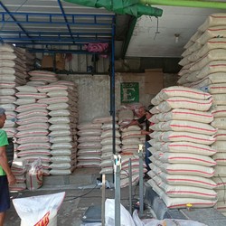 Wamen BUMN Blak-Blakan Stok Beras Pemerintah Mengkhawatirkan