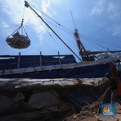 Harga Beras Naik Hingga Modus Beras Impor Selundupan