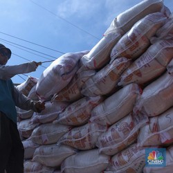 Mentan Lapor Stok Beras Aman, Jokowi Minta Cek ke Lapangan