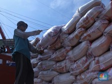 Tok! 200 Ribu Ton Beras Impor Segera Masuk RI