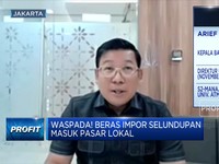 Awas Beras Impor Ilegal! Bapanas Minta Pedagang Lapor Satgas