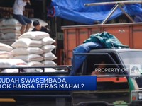 Sudah Swasembada, Kok Harga Beras Mahal?