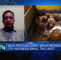 CPO RI Terancam Tak Laku, Pengusaha Minta Ini ke Pemerintah