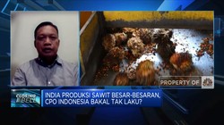 CPO RI Terancam Tak Laku, Pengusaha Minta Ini ke Pemerintah