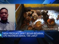 CPO RI Terancam Tak Laku, Pengusaha Minta Ini ke Pemerintah