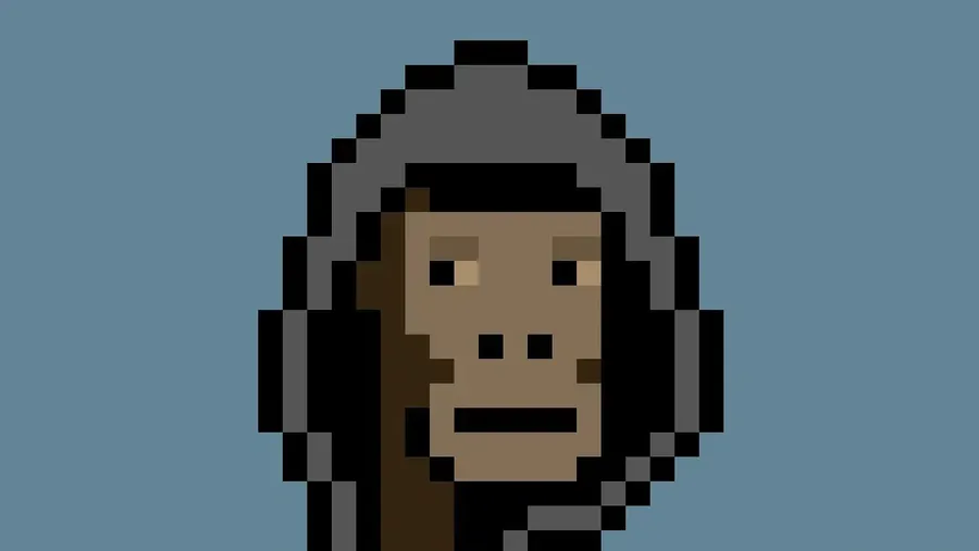 CryptoPunks NFT #2924