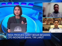 Pengusaha "Pede" Produksi CPO India Tak Ganggu Ekspor RI