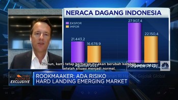 Fitch Ungkap Daya Tahan & Kerentanan RI Hadapi Gejolak Global