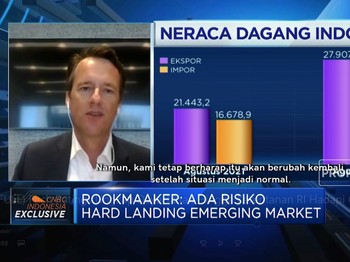 Fitch Ungkap Daya Tahan & Kerentanan RI Hadapi Gejolak Global
