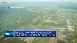 Prabowo Akan Pimpin Badan Cadangan Logistik Strategis