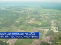 Prabowo Akan Pimpin Badan Cadangan Logistik Strategis