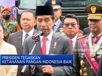Presiden Tegaskan Ketahanan Pangan Indonesia Masih Aman