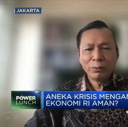 Ekonom: RI Harus Waspadai Krisis Global Tapi Jangan Panik