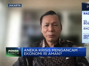 Ekonom: RI Harus Waspadai Krisis Global Tapi Jangan Panik