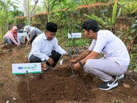 BRI Menanam Diproyeksi Serap 108 Ribu Ton CO2