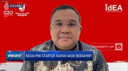 Jaga Keberlangsungan & Raih Profit, Startup Butuh Pembenahan