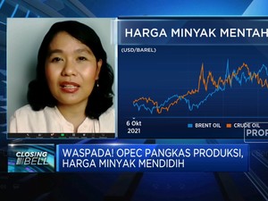 Kebijakan OPEC+ Bikin Harga Minyak Naik, Beban APBN Berat?