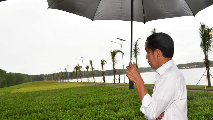 Presiden Joko Widodo meninjau pembangunan infrastruktur jalan di daerah Nusa Dua, Kabupaten Badung, Provinsi Bali yang akan dilalui oleh para pemimpin dunia yang menghadiri KTT G20 pada bulan November mendatang. (Rusman - Biro Pers Sekretariat Presiden)