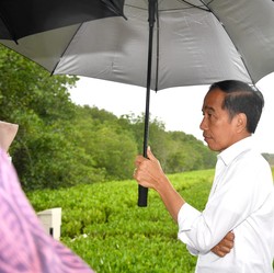 Kata Pengusaha, Siapa pun Presidennya, Yang Penting Ini