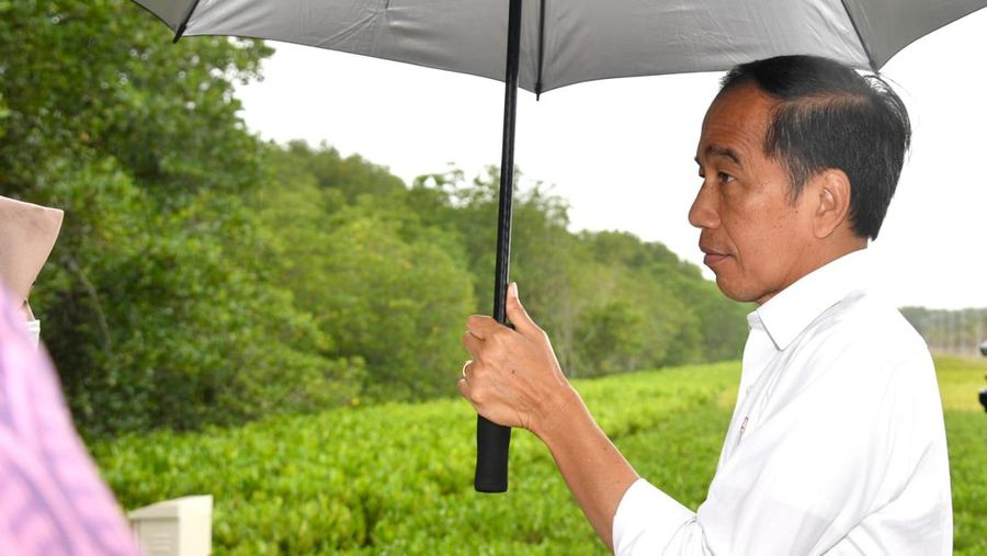 Presiden Joko Widodo meninjau pembangunan infrastruktur jalan di daerah Nusa Dua, Kabupaten Badung, Provinsi Bali yang akan dilalui oleh para pemimpin dunia yang menghadiri KTT G20 pada bulan November mendatang. (Rusman - Biro Pers Sekretariat Presiden)