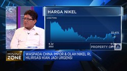 Urgensi Hilirisasi Nikel, Pemerintah Diminta Lakukan Ini