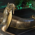 Apa Sih Yang Bikin Ular Titanoboa Bisa Tumbuh Sangat Besar?