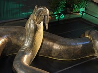 Apa Sih Yang Bikin Ular Titanoboa Bisa Tumbuh Sangat Besar?