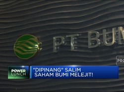 "Dipinang" Salim, Saham BUMI Melejit!