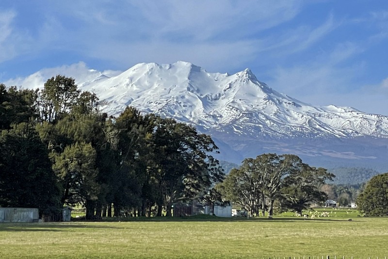 Skiers make the most of the very little snow at the Tūroa ski field, on Mt Ruapehu, New Zealand on Sept. 22, 2022. A disastrous snow season has left two of New Zealand's largest ski fields on the brink of bankruptcy, with climate change appearing to play a significant role. (AP Photo/Nick Perry)