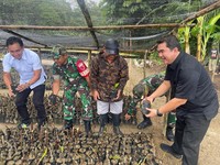 Bantu Ketahanan Pangan, MIND ID Tinjau Budidaya Bibit Sukun