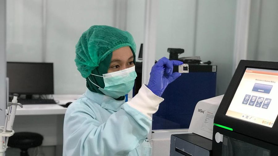 Morula IVF