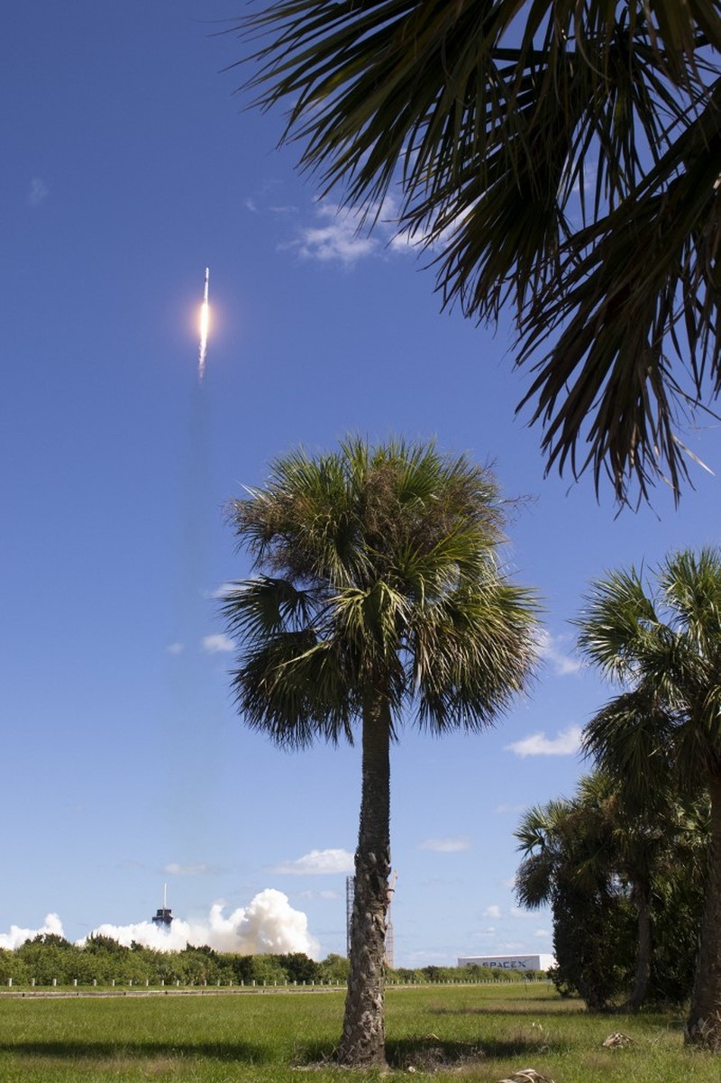 Roket SpaceX Falcon 9 dengan pesawat ruang angkasa Crew Dragon milik perusahaan di landasan peluncuran 39A sebagai persiapan melanjutkan misi Crew-5 di NASA's Kennedy Space Center di Florida pada 3 Oktober 2022. (AFP/JIM WATSON) Roket SpaceX Falcon 9 dengan pesawat ruang angkasa Crew Dragon milik perusahaan di landasan peluncuran 39A sebagai persiapan melanjutkan misi Crew-5 di NASA's Kennedy Space Center di Florida pada 3 Oktober 2022. (AFP/JIM WATSON)
