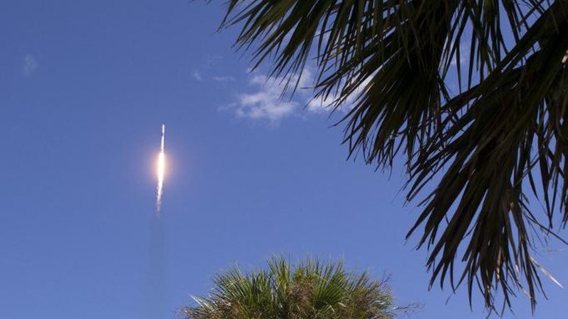 Roket SpaceX Falcon 9 dengan pesawat ruang angkasa Crew Dragon milik perusahaan di landasan peluncuran 39A sebagai persiapan melanjutkan misi Crew-5 di NASA's Kennedy Space Center di Florida pada 3 Oktober 2022. (AFP/JIM WATSON)