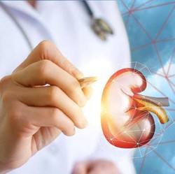 7 Kebiasaan yang Bisa Merusak Fungsi Ginjal, Jangan Sepelekan!