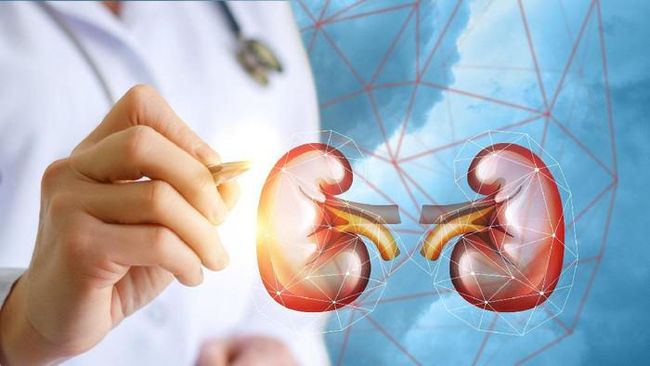 The causes of acute kidney finally revealed, not just a factor