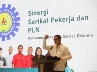 Cerita Bos PLN di Balik Akurnya Manajemen dan Serikat Pekerja