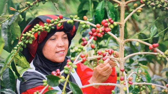 Dicintai Warga Dunia, Ini Alasan Kopi Indonesia Jadi Primadona