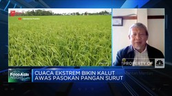 Jokowi Waspada Cuaca Ekstrem, Pasokan Pangan RI Aman?