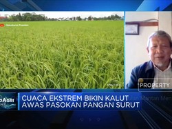 Jokowi Waspada Cuaca Ekstrem, Pasokan Pangan RI Aman?
