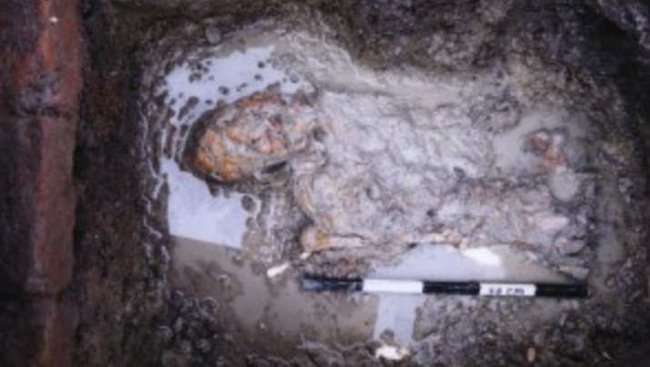 Temuan Kerangka manusia tahuin 2003 di Candi Blandongan di Kecamatan Batujaya, Kabupaten Karawang. (Kemdikbud) Temuan Kerangka manusia tahuin 2003 di Candi Blandongan di Kecamatan Batujaya, Kabupaten Karawang. (Kemdikbud)