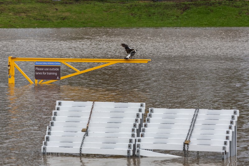 Banjir di Australia Pekerja darurat mengevakuasi warga saat banjir di pinggiran Melbourne, Maribyrnong, Australia, Jumat (14102/2022). Banjir telah menggenangi jalan, memaksa sekolah ditutup, dan memutus aliran listrik ke 3.000 rumah dan bisnis. (Photo by WILLIAM WEST/AFP via Getty Images)