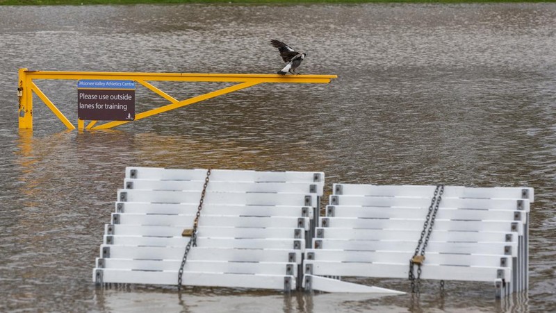 Pekerja darurat mengevakuasi warga saat banjir di pinggiran Melbourne, Maribyrnong, Australia, Jumat (14102/2022). Banjir telah menggenangi jalan, memaksa sekolah ditutup, dan memutus aliran listrik ke 3.000 rumah dan bisnis. (Photo by WILLIAM WEST/AFP via Getty Images)