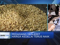Pedagang Menjerit Harga Kedelai Terus Naik