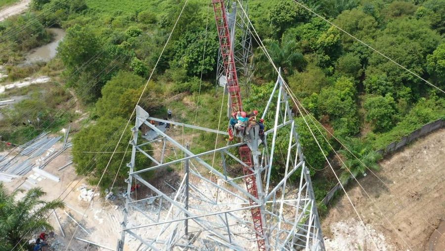 PLN