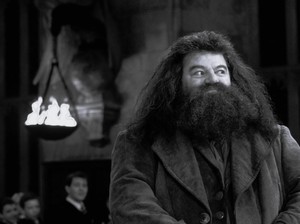 Sutradara Harry Potter Kritik Penampilan Hagrid di Serial Reboot HBO