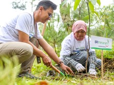Lingkungan Lebih Hijau dan Cuan, Ini Manfaat 'BRI Menanam'